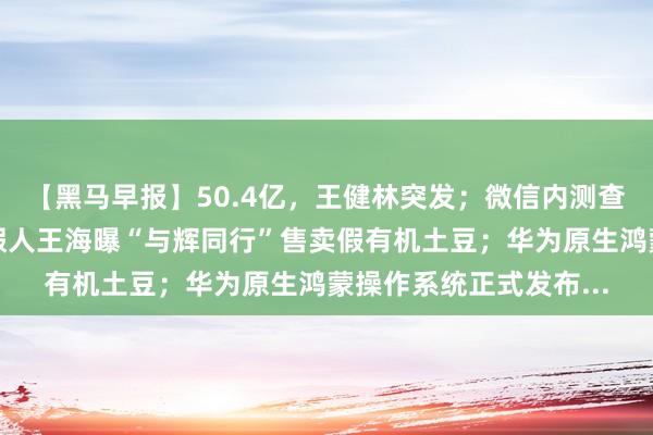 【黑马早报】50.4亿，王健林突发；微信内测查删单向好友功能；打假人王海曝“与辉同行”售卖假有机土豆；华为原生鸿蒙操作系统正式发布...