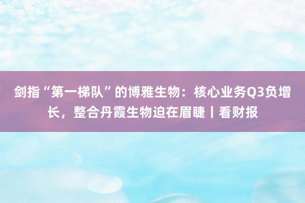 剑指“第一梯队”的博雅生物：核心业务Q3负增长，整合丹霞生物迫在眉睫丨看财报