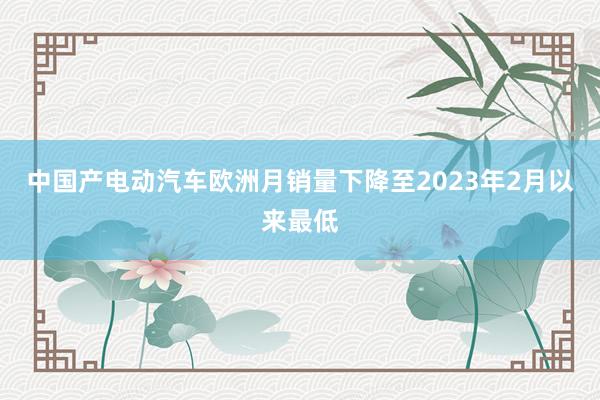 中国产电动汽车欧洲月销量下降至2023年2月以来最低