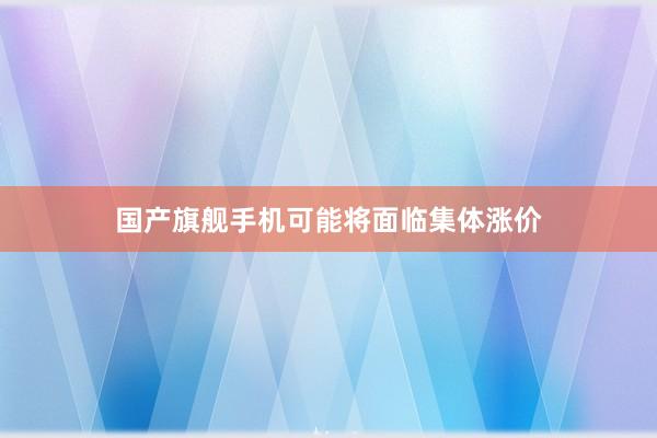 国产旗舰手机可能将面临集体涨价