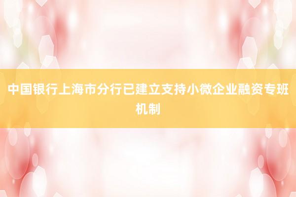 中国银行上海市分行已建立支持小微企业融资专班机制