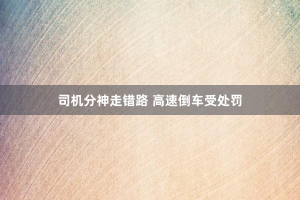 司机分神走错路 高速倒车受处罚