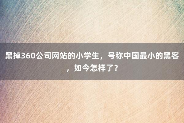 黑掉360公司网站的小学生，号称中国最小的黑客，如今怎样了？