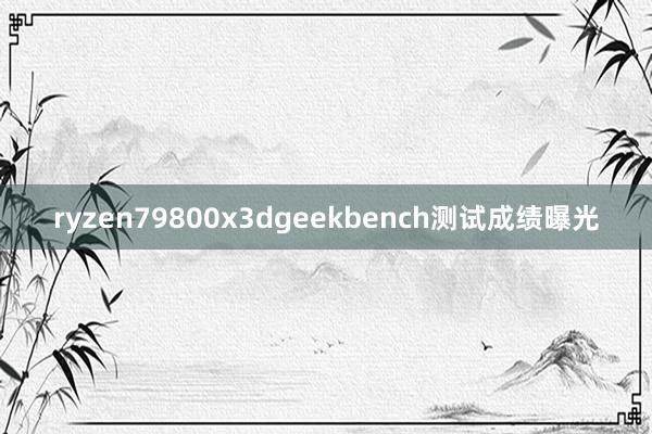 ryzen79800x3dgeekbench测试成绩曝光