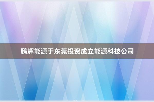 鹏辉能源于东莞投资成立能源科技公司