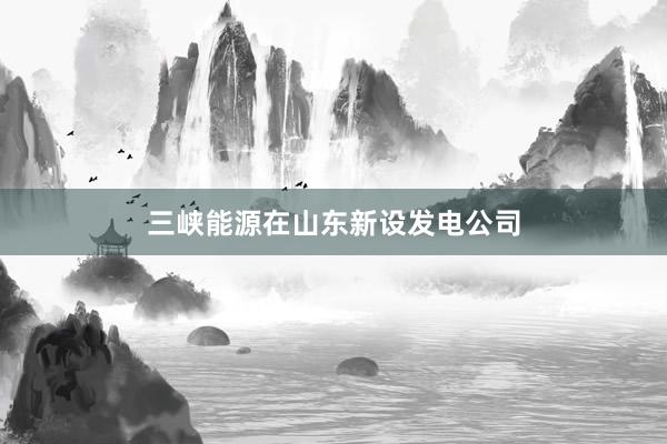 三峡能源在山东新设发电公司