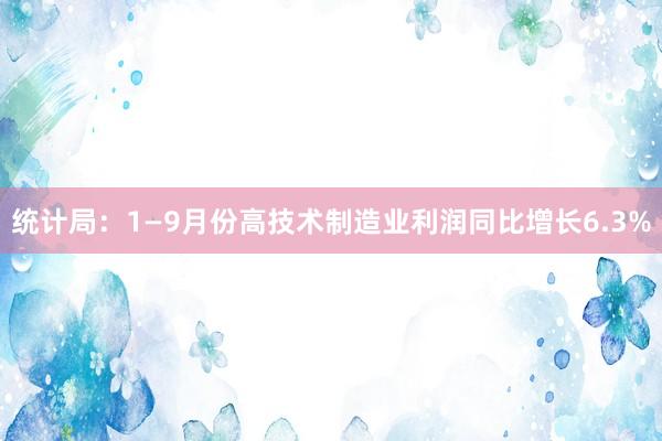 统计局：1—9月份高技术制造业利润同比增长6.3%