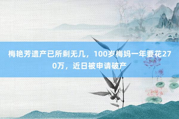 梅艳芳遗产已所剩无几，100岁梅妈一年要花270万，近日被申请破产