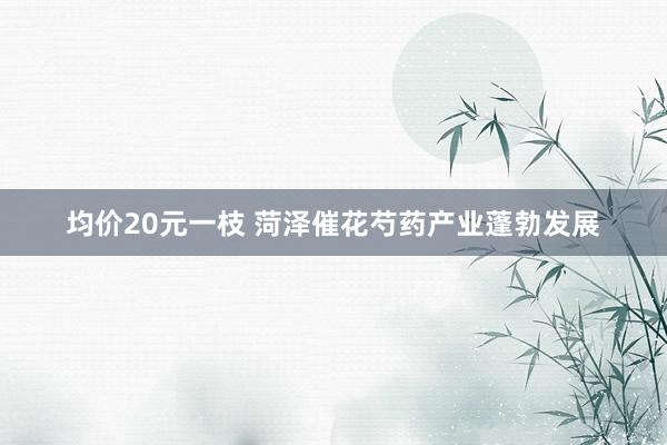 均价20元一枝 菏泽催花芍药产业蓬勃发展