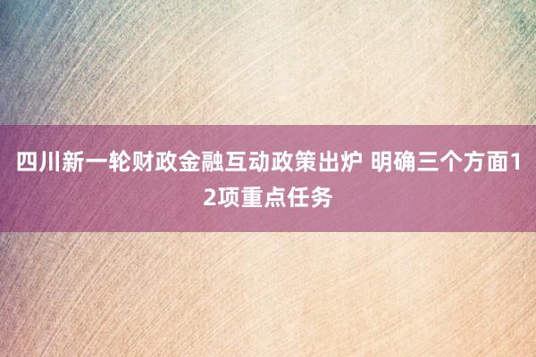 四川新一轮财政金融互动政策出炉 明确三个方面12项重点任务