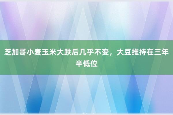 芝加哥小麦玉米大跌后几乎不变，大豆维持在三年半低位