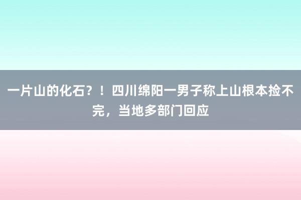 一片山的化石？！四川绵阳一男子称上山根本捡不完，当地多部门回应