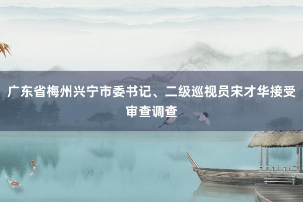 广东省梅州兴宁市委书记、二级巡视员宋才华接受审查调查