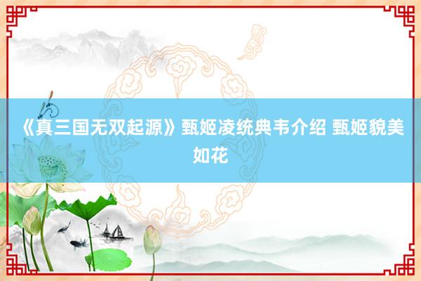 《真三国无双起源》甄姬凌统典韦介绍 甄姬貌美如花