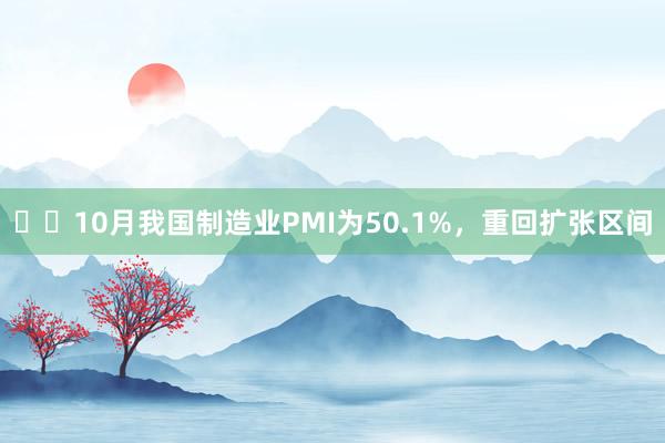 ‍‍10月我国制造业PMI为50.1%，重回扩张区间