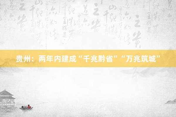 贵州：两年内建成“千兆黔省”“万兆筑城”