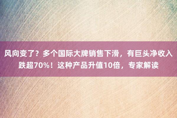 风向变了？多个国际大牌销售下滑，有巨头净收入跌超70%！这种产品升值10倍，专家解读