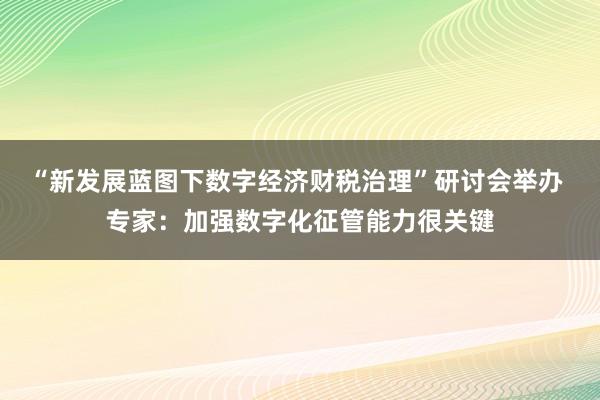 “新发展蓝图下数字经济财税治理”研讨会举办 专家：加强数字化征管能力很关键