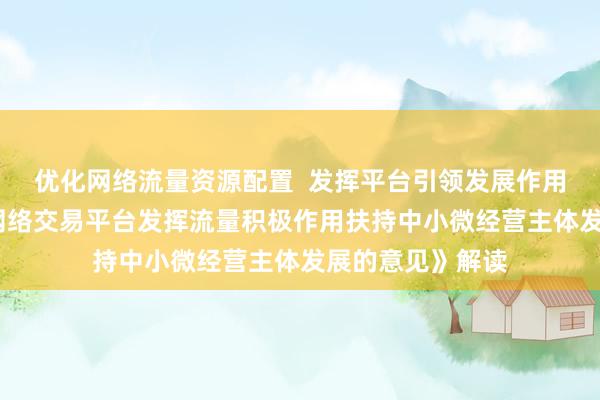 优化网络流量资源配置  发挥平台引领发展作用——《关于引导网络交易平台发挥流量积极作用扶持中小微经营主体发展的意见》解读