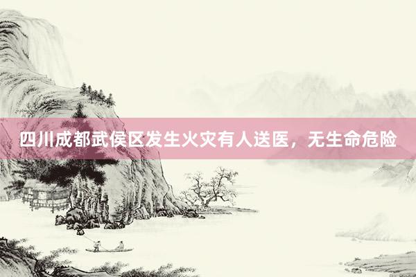 四川成都武侯区发生火灾有人送医，<a href=