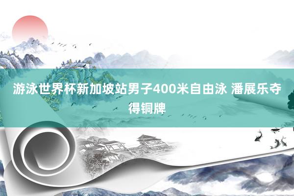 游泳世界杯新加坡站男子400米自由泳 潘展乐夺得铜牌