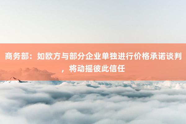 商务部：如欧方与部分企业单独进行价格承诺谈判，将动摇彼此信任