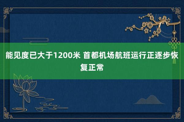 能见度已大于1200米 首都机场航班运行正逐步恢复正常