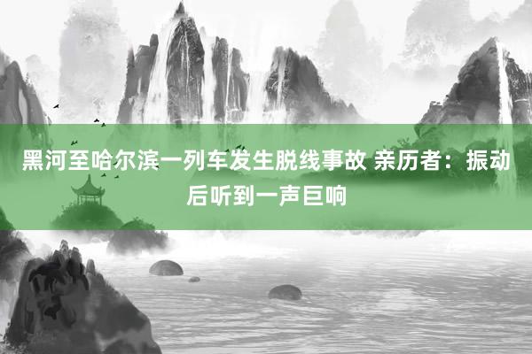 黑河至哈尔滨一列车发生脱线事故 亲历者：振动后听到一声巨响