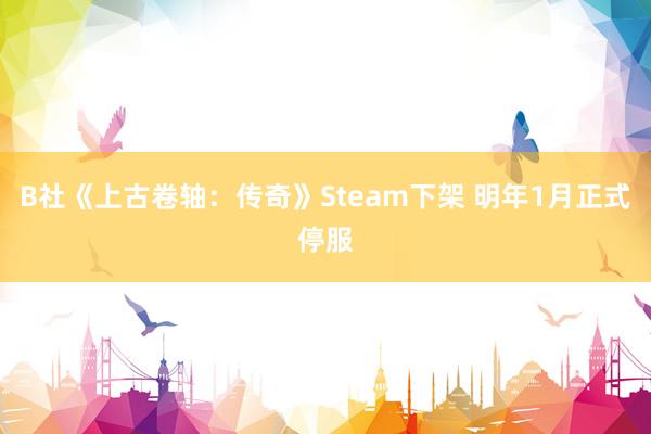 B社《上古卷轴：传奇》Steam下架 明年1月正式停服