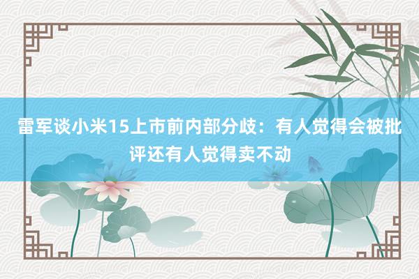 雷军谈小米15上市前内部分歧：有人觉得会被批评还有人觉得卖不动