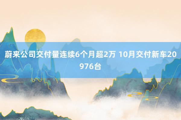 蔚来公司交付量连续6个月超2万 10月交付新车20976台