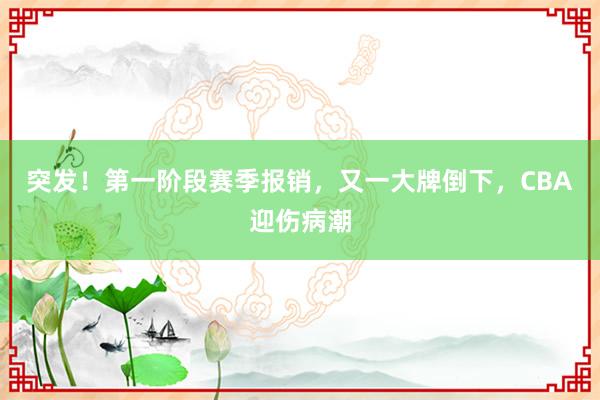 突发！第一阶段赛季报销，又一大牌倒下，CBA迎伤病潮