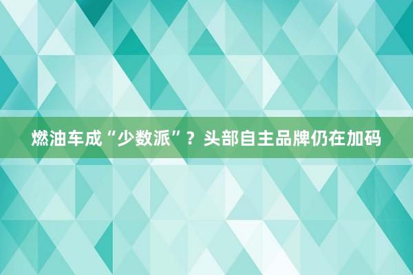 燃油车成“少数派”？头部自主品牌仍在加码