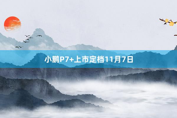 小鹏P7+上市定档11月7日