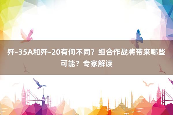 歼-35A和歼-20有何不同？组合作战将带来哪些可能？专家解读