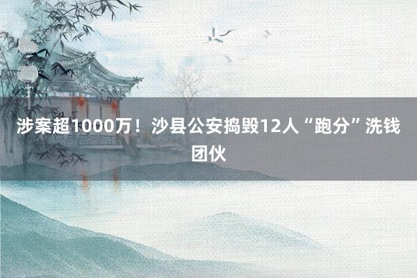 涉案超1000万！沙县公安捣毁12人“跑分”洗钱团伙