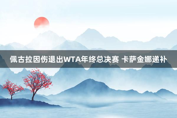 佩古拉因伤退出WTA年终总决赛 卡萨金娜递补