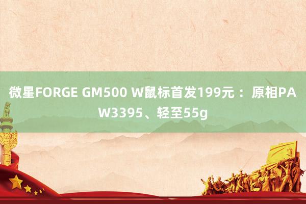 微星FORGE GM500 W鼠标首发199元 ：原相PAW3395、轻至55g