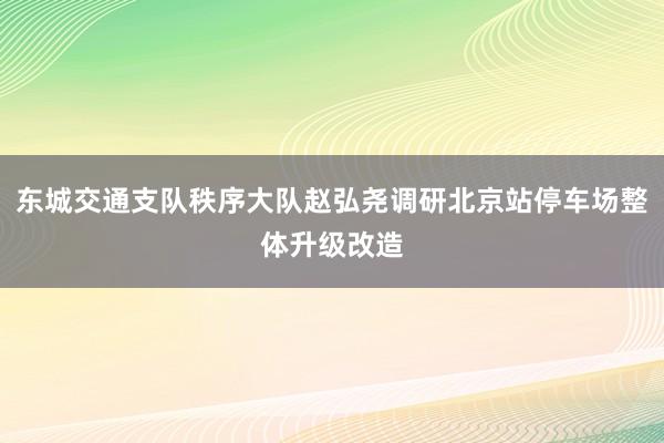 东城交通支队秩序大队赵弘尧调研北京站停车场整体升级改造