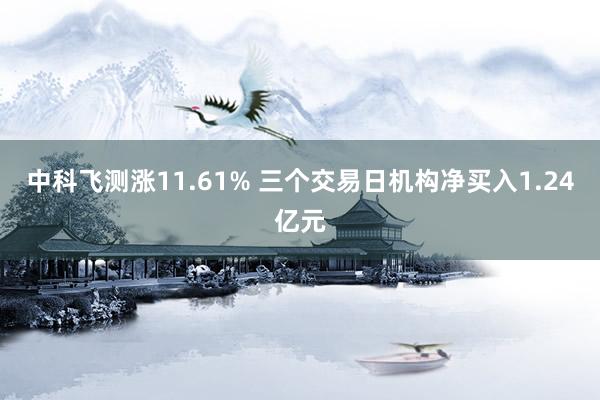 中科飞测涨11.61% 三个交易日机构净买入1.24亿元