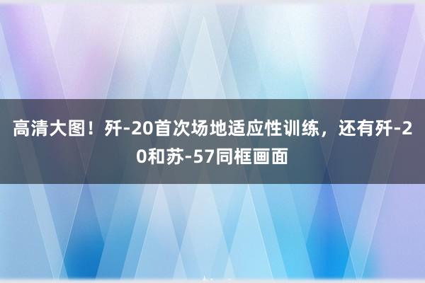 高清大图！歼-20首次场地适应性训练，还有歼-20和苏-57同框画面