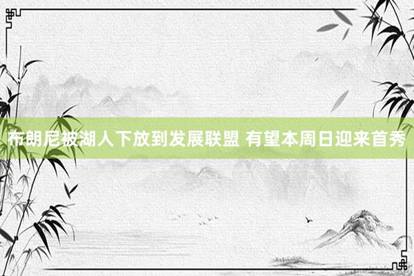 布朗尼被湖人下放到发展联盟 有望本周日迎来首秀