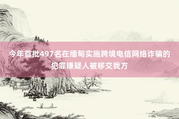 今年首批497名在缅甸实施跨境电信网络诈骗的犯罪嫌疑人被移交我方