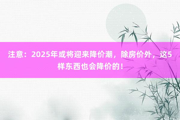 注意：2025年或将迎来降价潮，除房价外，这5样东西也会降价的！