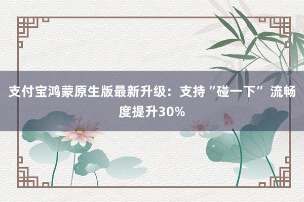 支付宝鸿蒙原生版最新升级：支持“碰一下” 流畅度提升30%