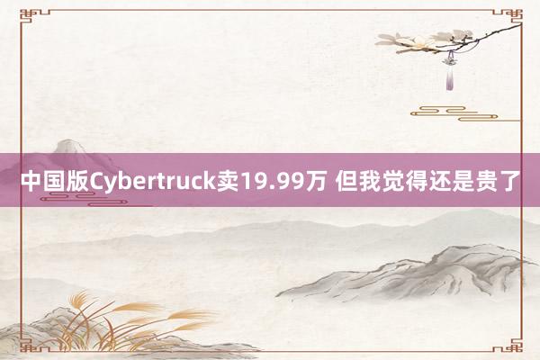 中国版Cybertruck卖19.99万 但我觉得还是贵了