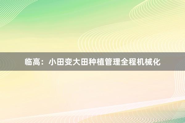 临高：小田变大田种植管理全程机械化