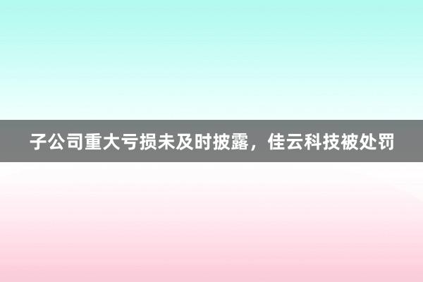 子公司重大亏损未及时披露，佳云科技被处罚