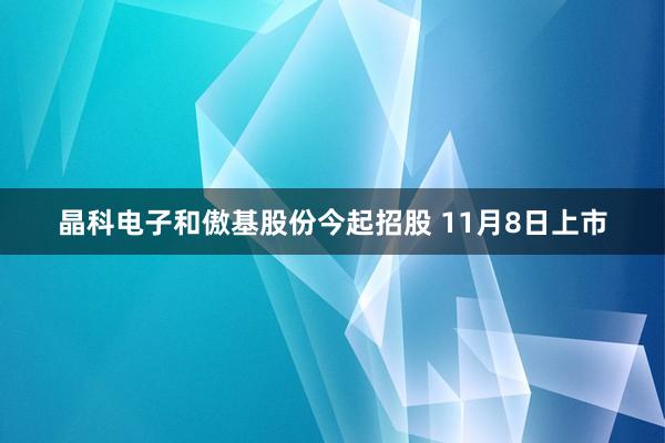 晶科电子和傲基股份今起招股 11月8日上市