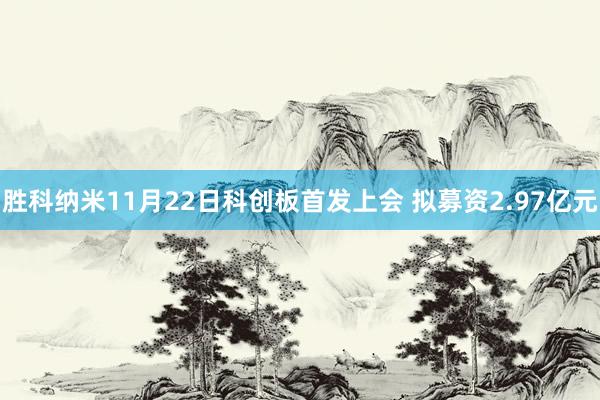 胜科纳米11月22日科创板首发上会 拟募资2.97亿元